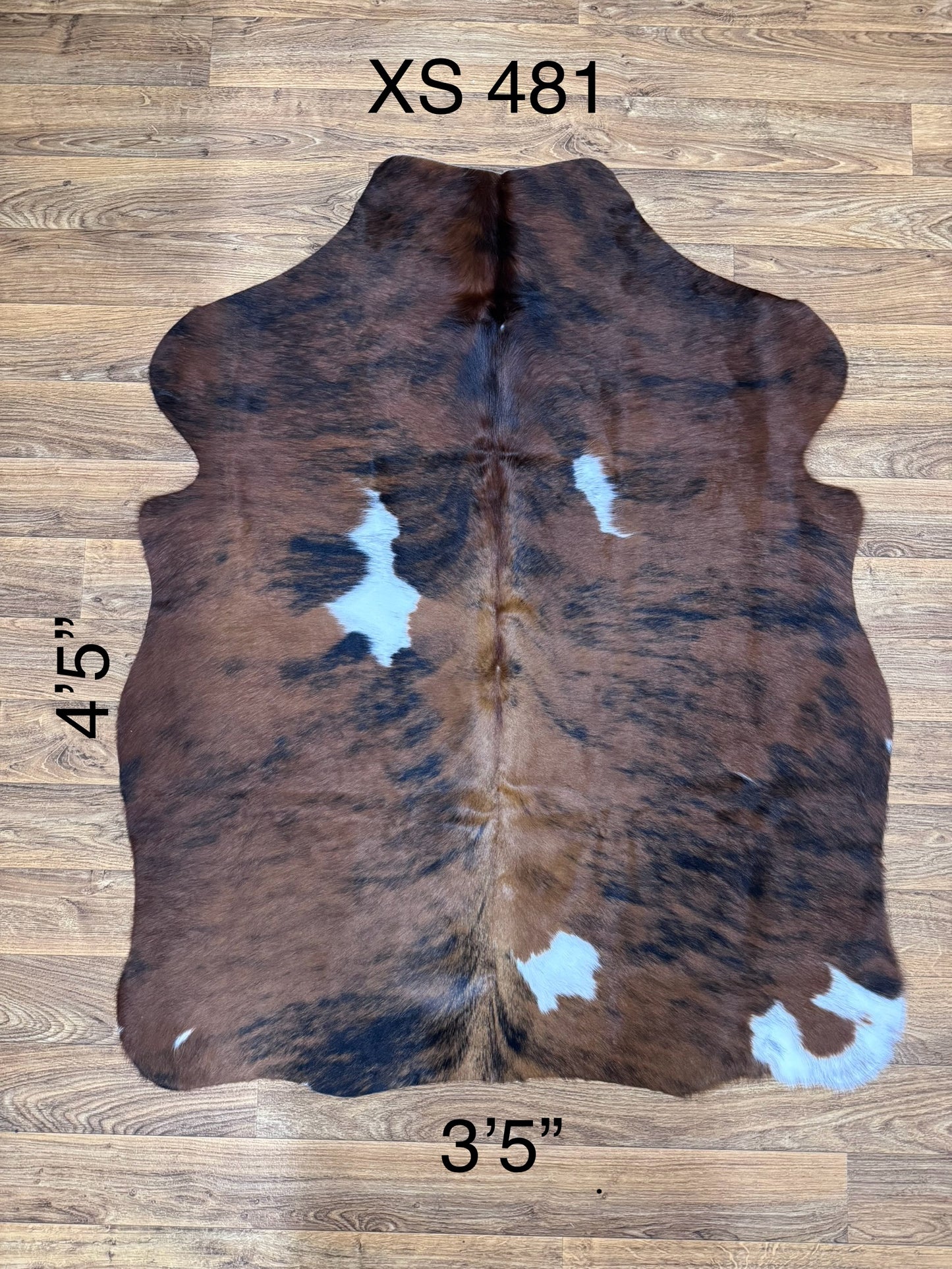 XS 481