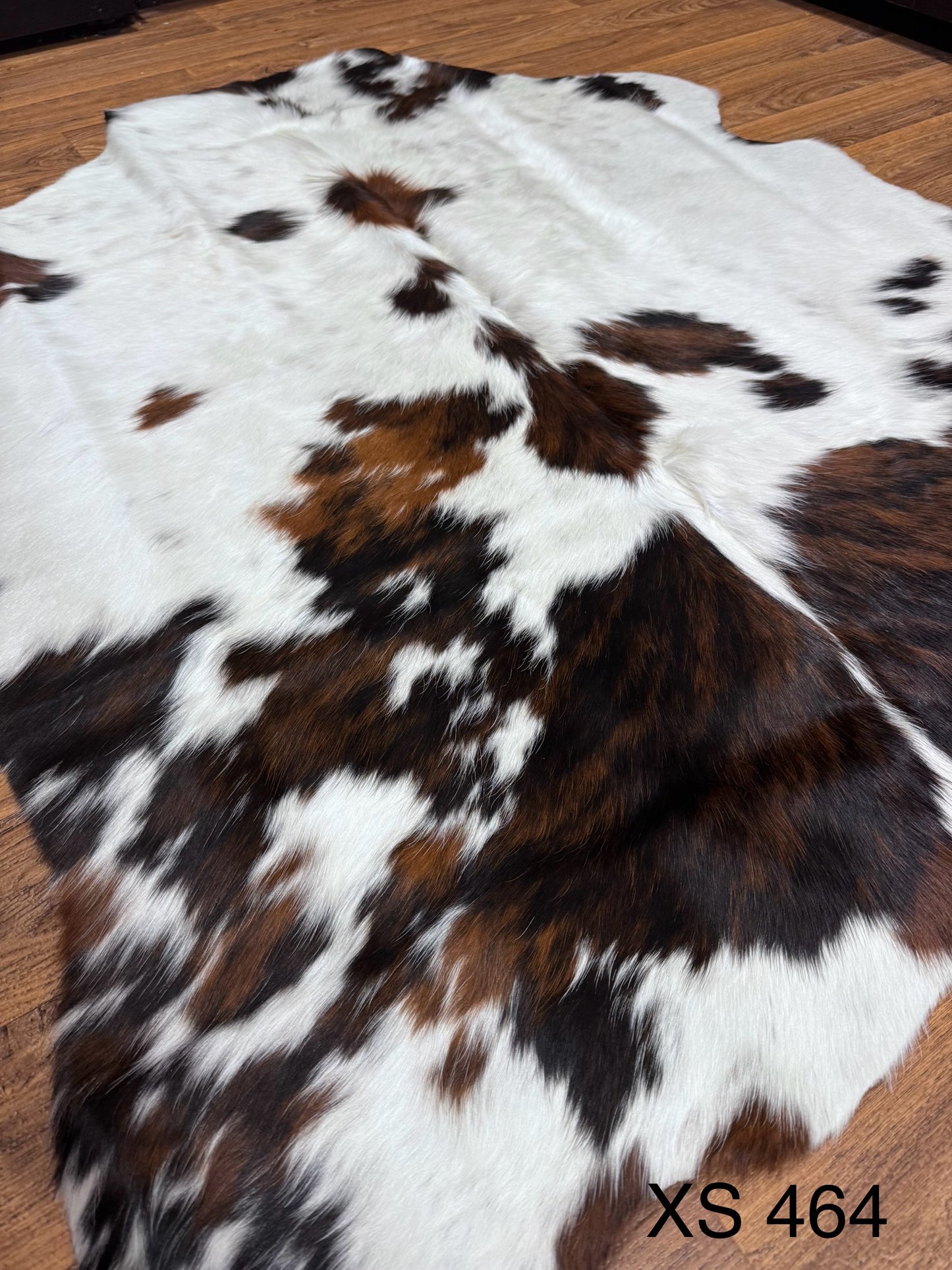 XS 464