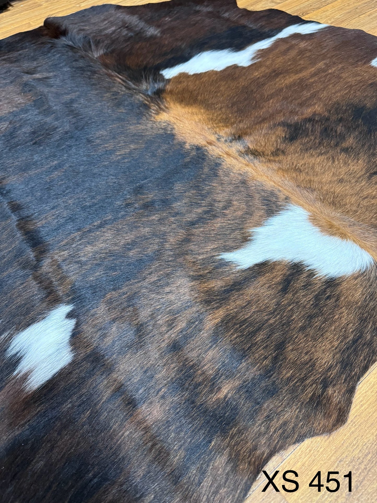 XS 451