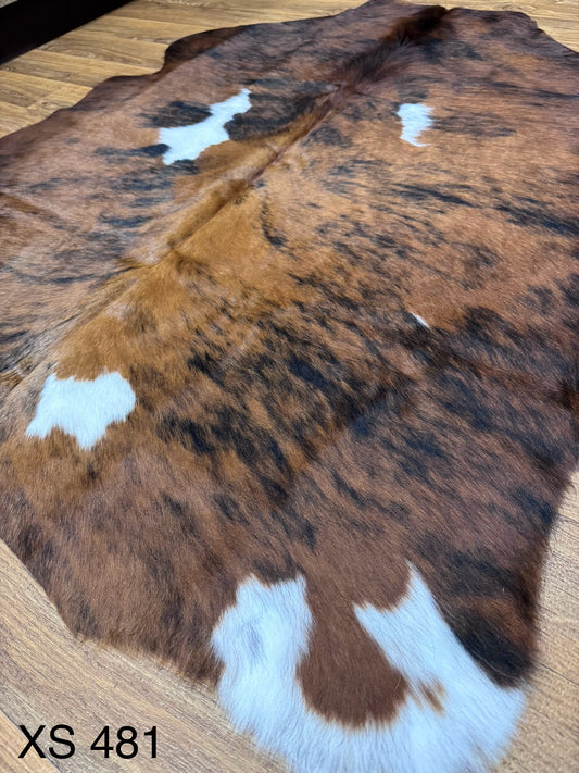 XS 481