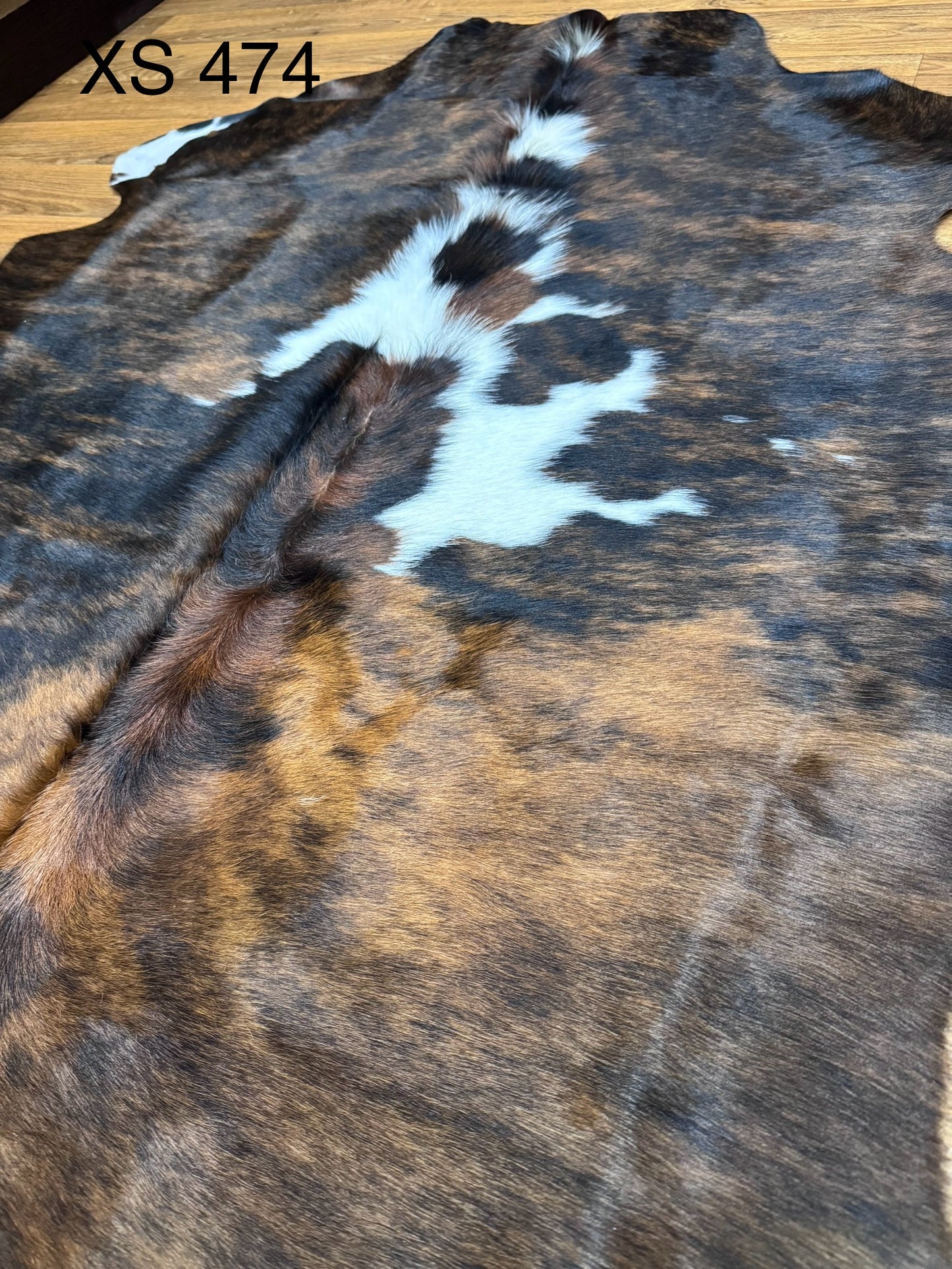 XS 474
