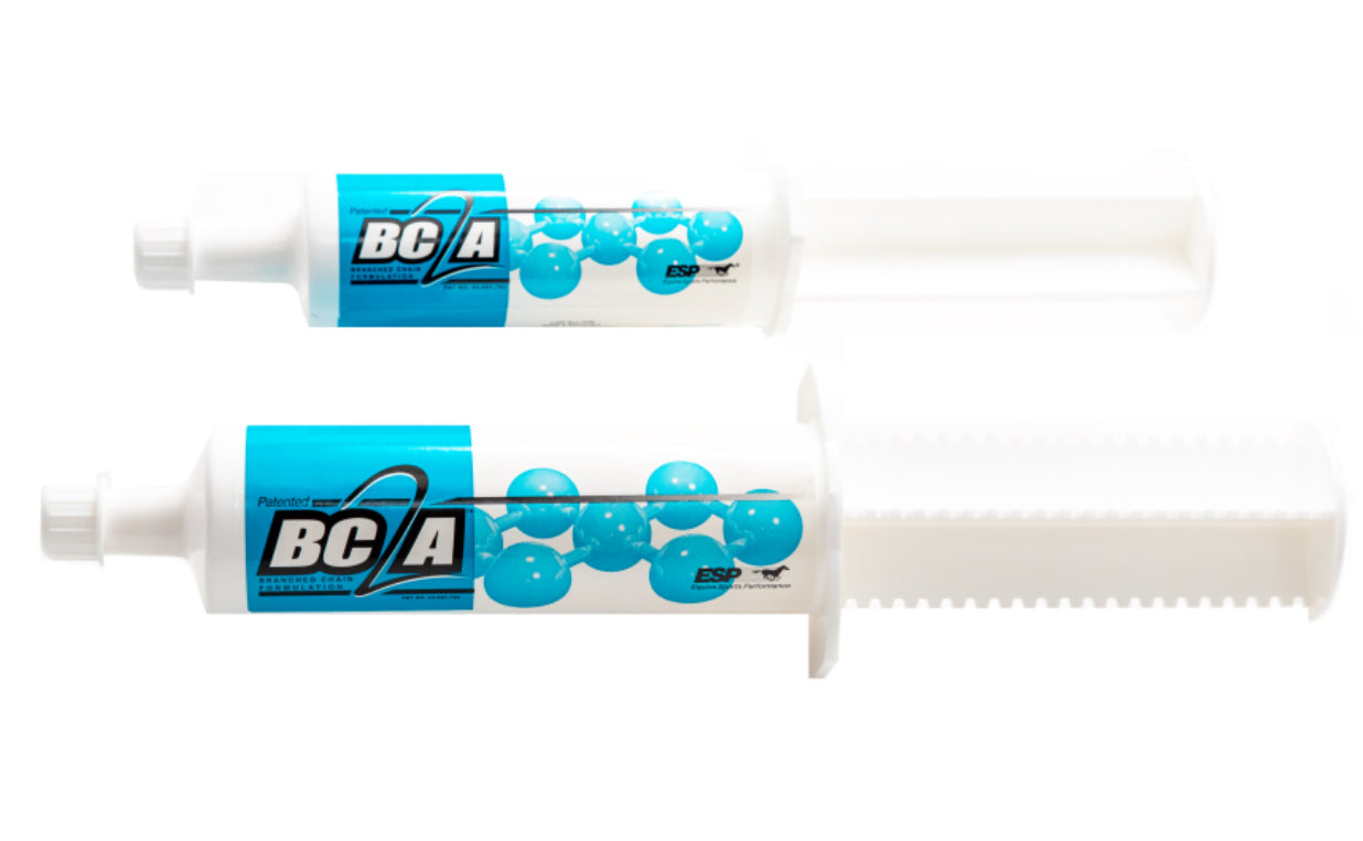 BC2A Paste